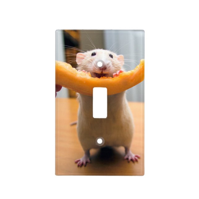 Marty Mouse Light Switch Cover - Canaloop (Front)