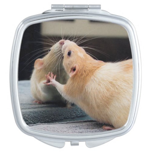 Marty Mouse Mirror Mirror