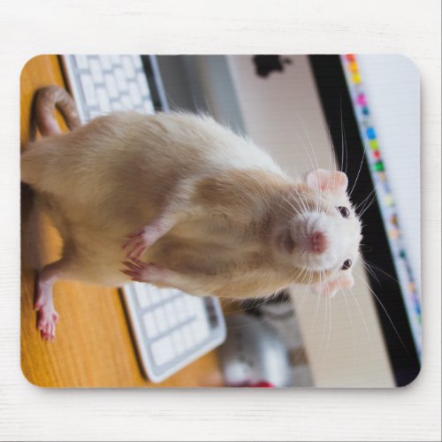 Marty Mouse Mousepad _ Computer Mouse