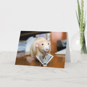 Marty Mouse Reading Book Greeting Card