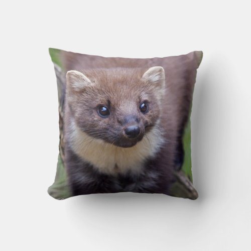 Marty Pillow