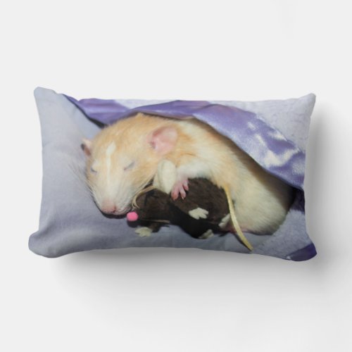 Marty Sleeping with RatTeddy 16x16 Pillow