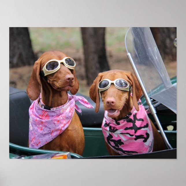 Marty & Zoe Poster (Front)