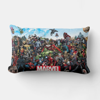 Marvel DC flip pillow