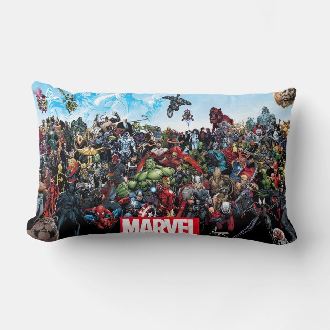 Marvel DC flip pillow (Front)