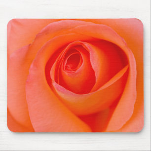 Marvelous Orange Rose Bud Mouse Pad