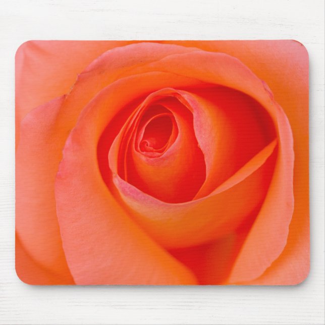 Marvelous Orange Rose Bud Mouse Pad (Front)
