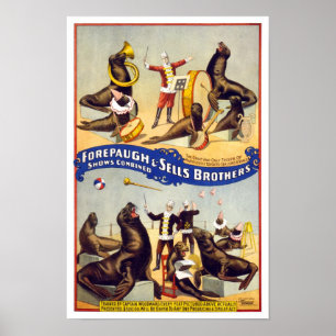 Marvelously Trained Circus Seals, 1899. Vintage Poster