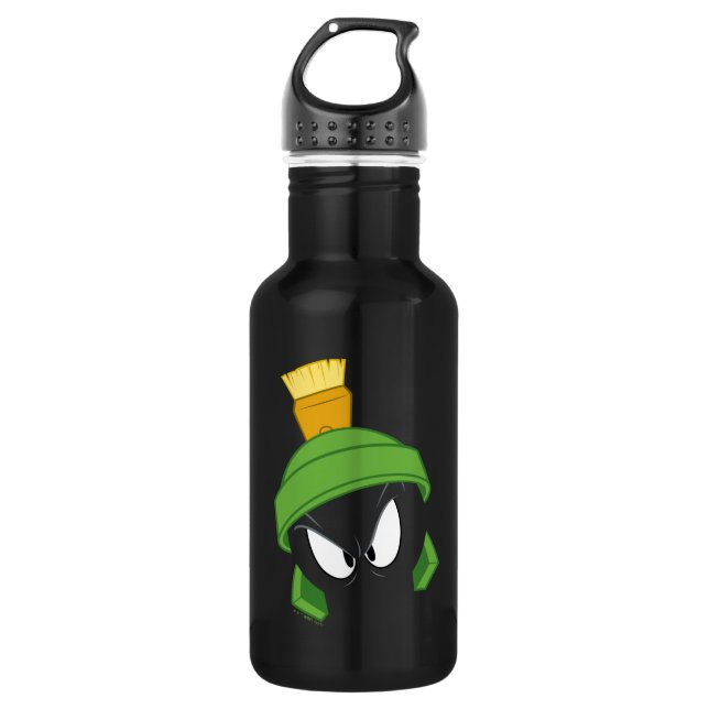MARVIN THE MARTIAN™ Angry Face Stainless Steel Water Bottle (Front)