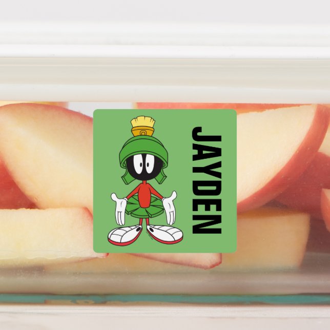 MARVIN THE MARTIAN™ Arms Open | Add Name Labels (Affixed)