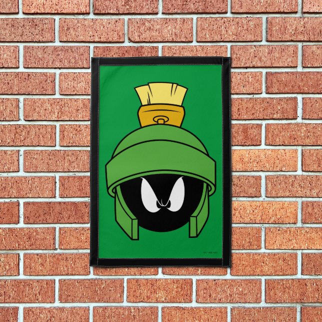MARVIN THE MARTIAN™ Mad Pennant (Insitu 1)
