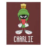 MARVIN THE MARTIAN™ Upset