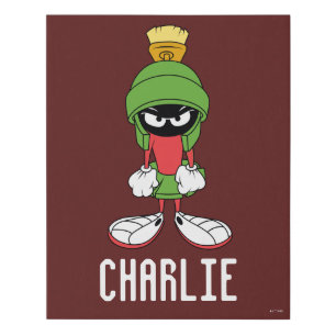 MARVIN THE MARTIAN™ Upset Faux Canvas Print