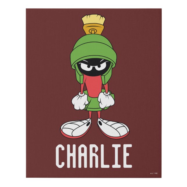 MARVIN THE MARTIAN™ Upset Faux Canvas Print (Front)
