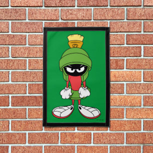 MARVIN THE MARTIAN™ Upset Pennant