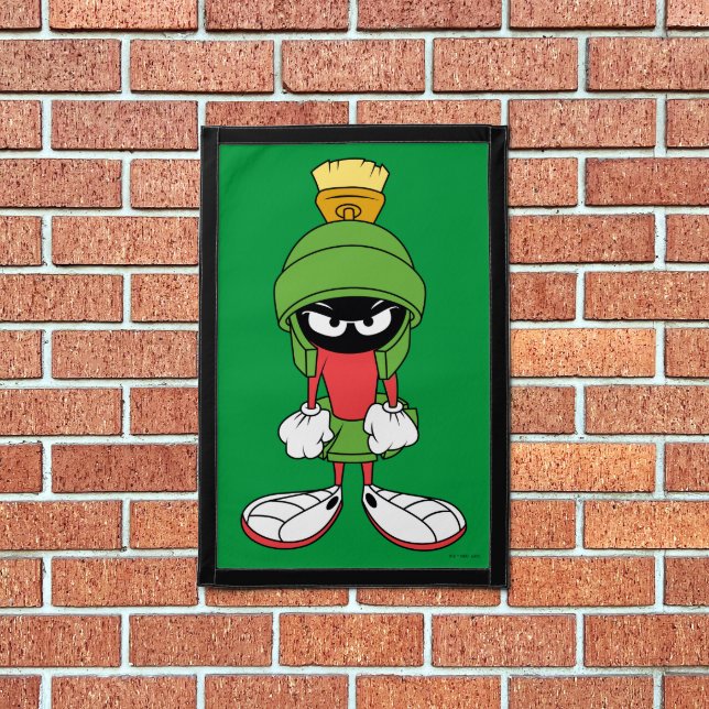 MARVIN THE MARTIAN™ Upset Pennant (Insitu 1)