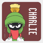 MARVIN