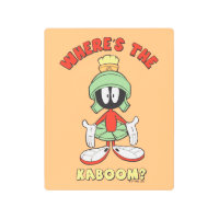 MARVIN THE MARTIAN™ Where's the Kaboom?