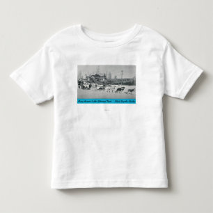 Mary Hansen & Siberians w/ Airplane Toddler T-shirt