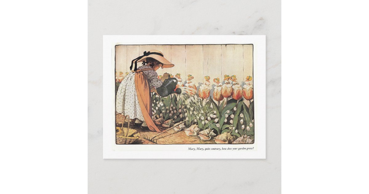 Mary Mary Quite Contrary Nursery Rhyme Postcard Zazzle Mary mary quite contrary nursery rhyme postcard zazzle
