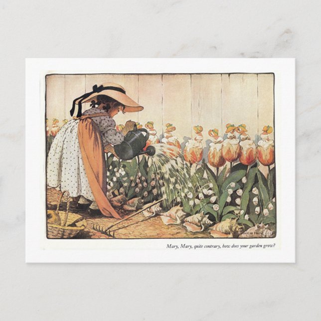 Mary, Mary, Quite Contrary Nursery Rhyme Postcard (Front)