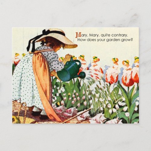 Mary Mary Quite Contrary Postcard