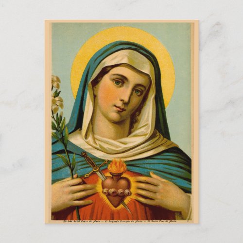Mary Our Lady of Sorrows Immaculate Heart Postcard