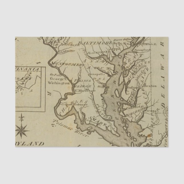 Maryland 5 tissue paper (Front)