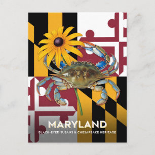 Maryland Black Eyed Susan And Crab Symbols Postcard