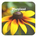 Maryland Black Eyed Susan Square Sticker