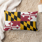 Maryland flag, American state flag Throw Pillow | Zazzle