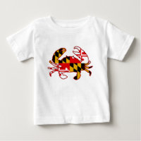 Maryland Flag Crab
