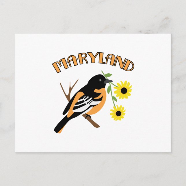 Maryland Oriole Postcard (Front)