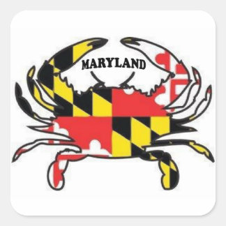 MARYLAND SQUARE STICKER