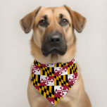 Maryland State Flag Red Gold Pet Bandana Collar