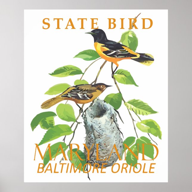 Maryland Territory Bird The Icterus galbula Poster (Front)