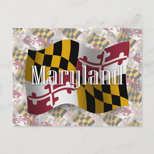 Maryland Waving Flag Postcard (Front)