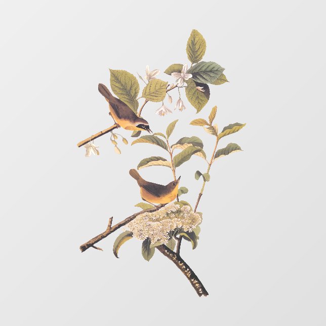Maryland Yellowthroat Audubon Birds with Flowers Window Cling (Sheet)