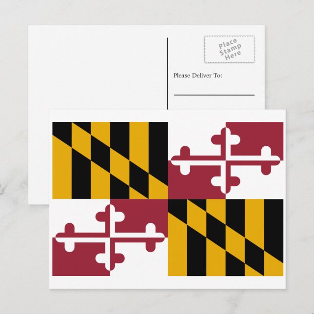 Marylander Flag, Flag of Maryland Postcard (Front/Back)