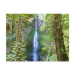 Marymere Falls I at Olympic National Park Postcard