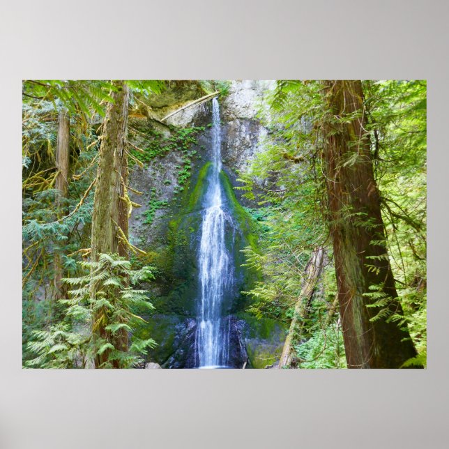 Marymere Falls I at Olympic National Park Poster (Front)