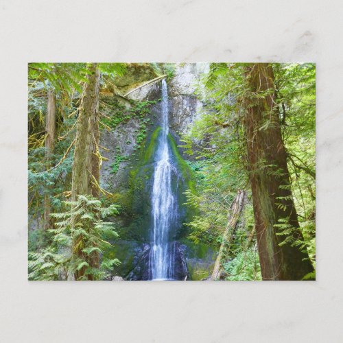 Marymere Falls I Postcard