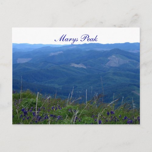 Marys Peak Postcard