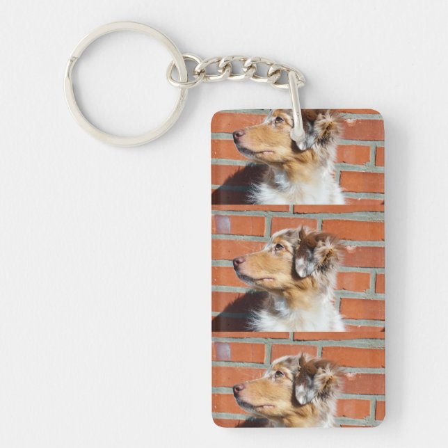 MAS red merle Keychain (Front)