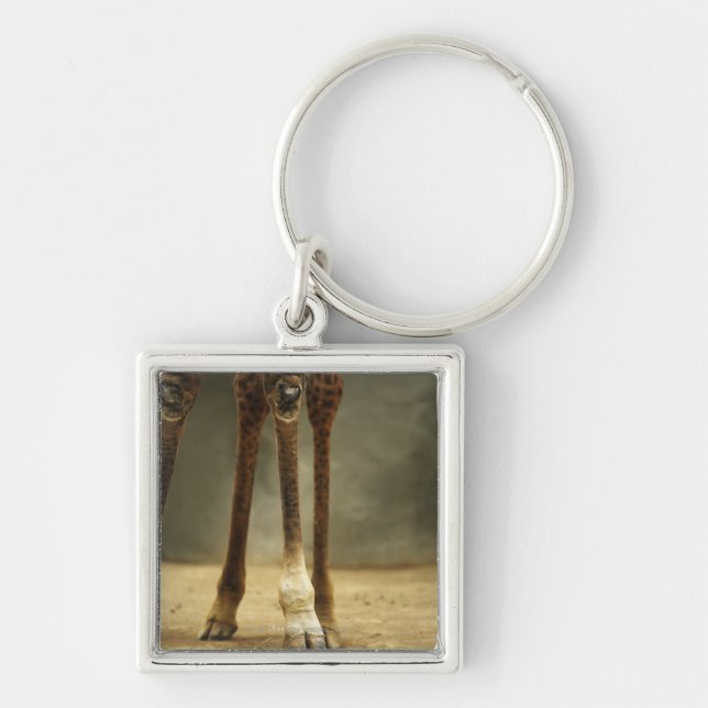 Masai giraffe, low angle view of legs, Giraffa Keychain (Front)