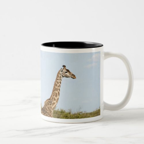 Masai giraffes Giraffa camelopardalis 3 Two_Tone Coffee Mug