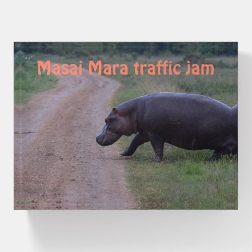 Masai Mara Kenya Hippo Traffic Jam Paperweight