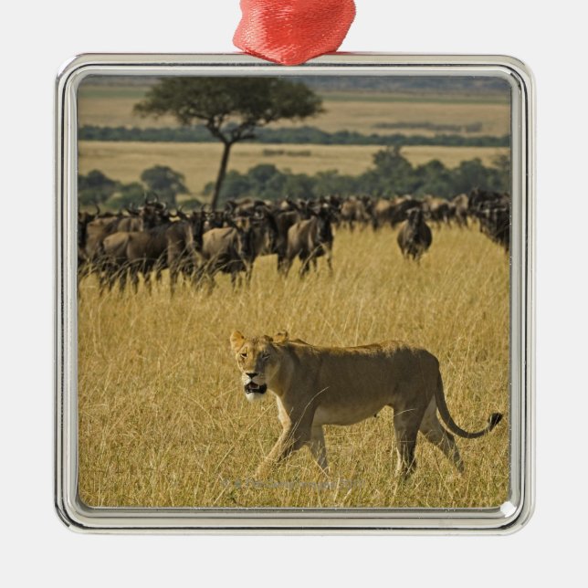 Masai Mara National Reserve, Kenya, Africa Metal Ornament (Front)
