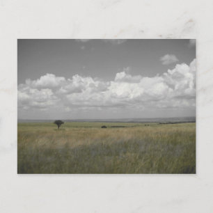 Masai Sky Postcard