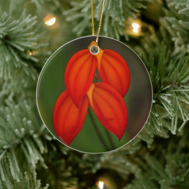 Masdevallia ignea Orchid Ceramic Ornament (Tree)